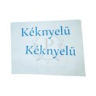 Noris N 110S - 25 ml türkiz